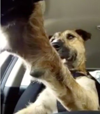 Formula 1 tweet media