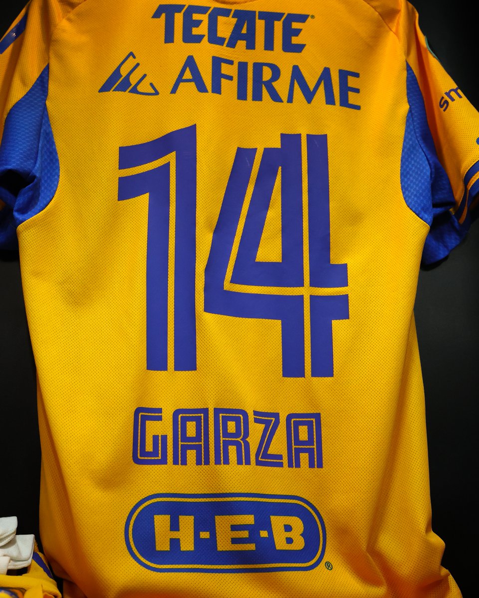 TigresOficial's tweet image. ¡Lista nuestra piel para el partido de esta noche en casa! 💛