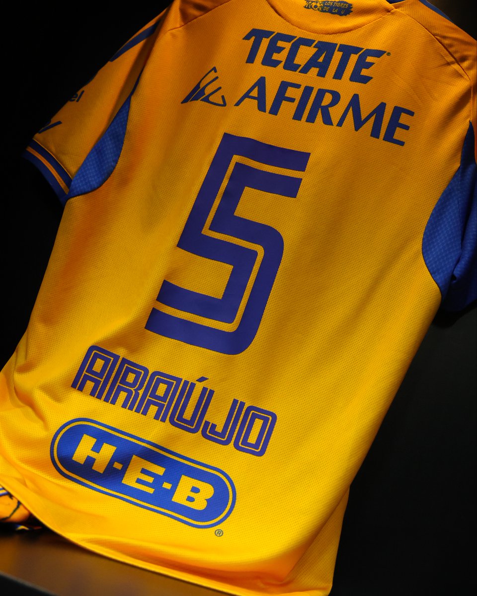 TigresOficial's tweet image. ¡Lista nuestra piel para el partido de esta noche en casa! 💛