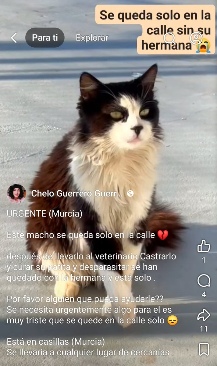 María Viñuela del Jeso tweet media