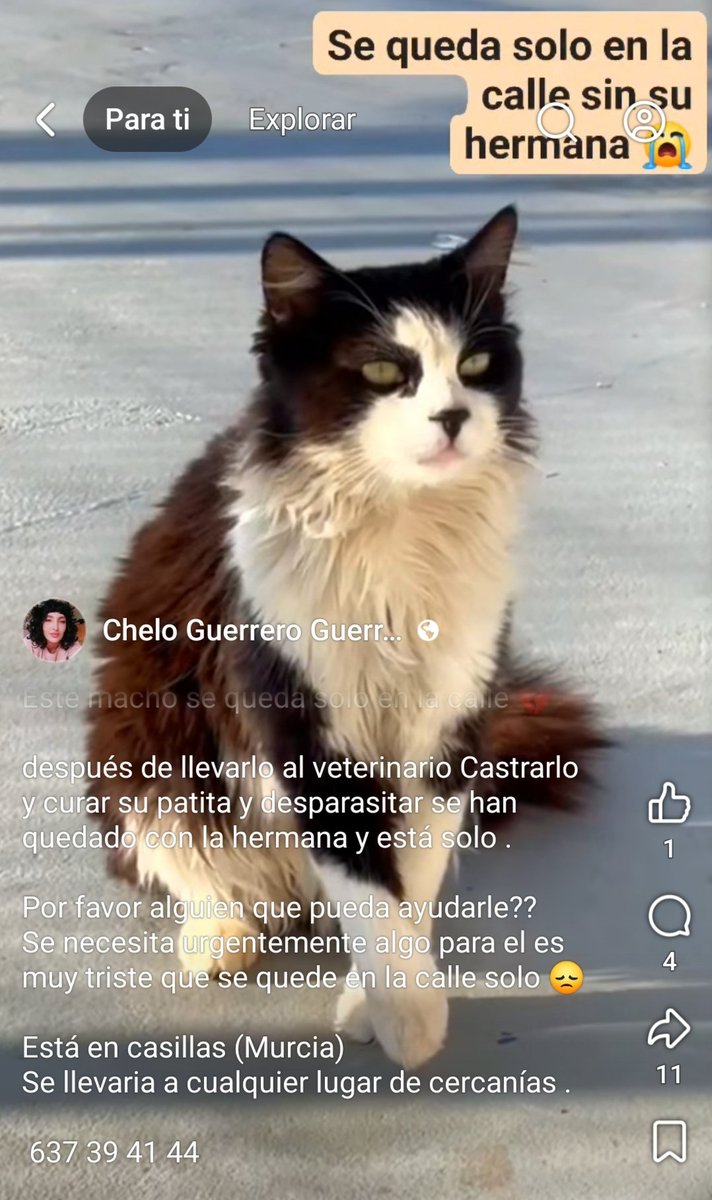 María Viñuela del Jeso tweet media