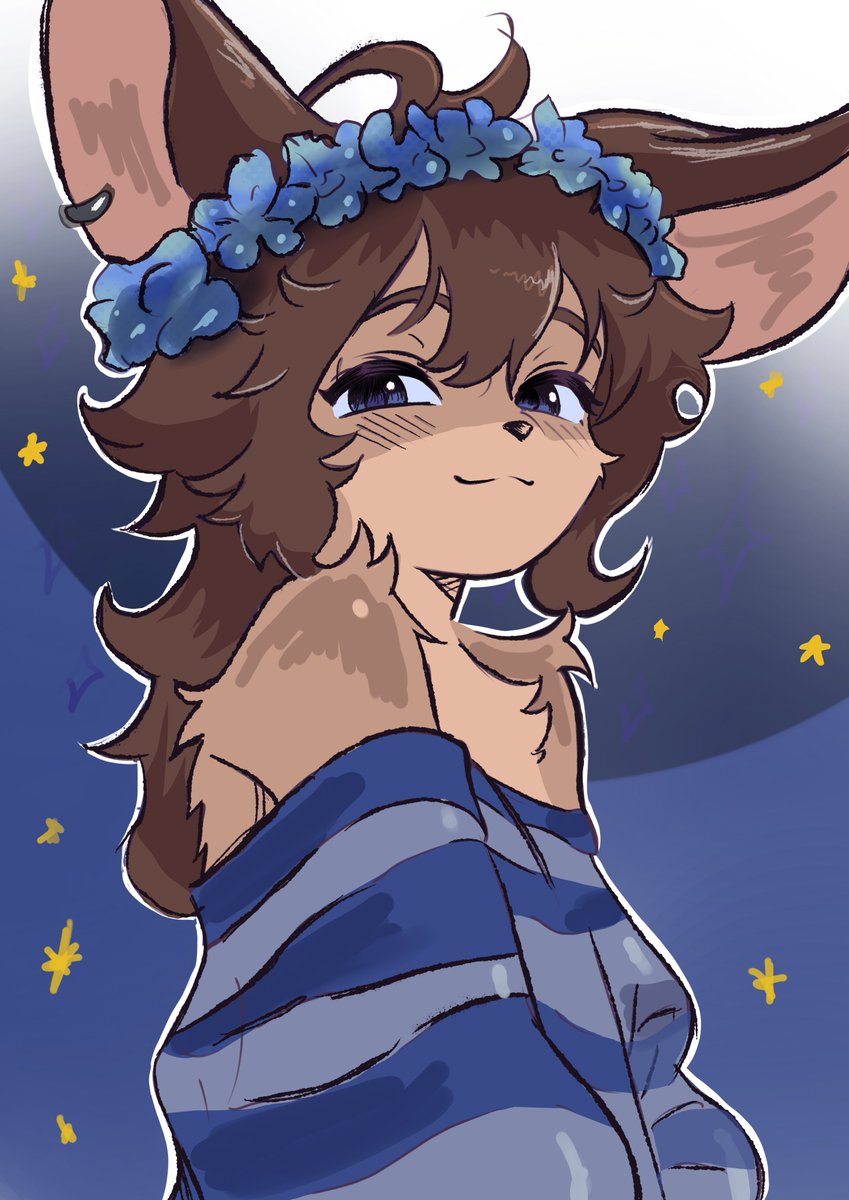 Klaus_Monteiro🌙 tweet media