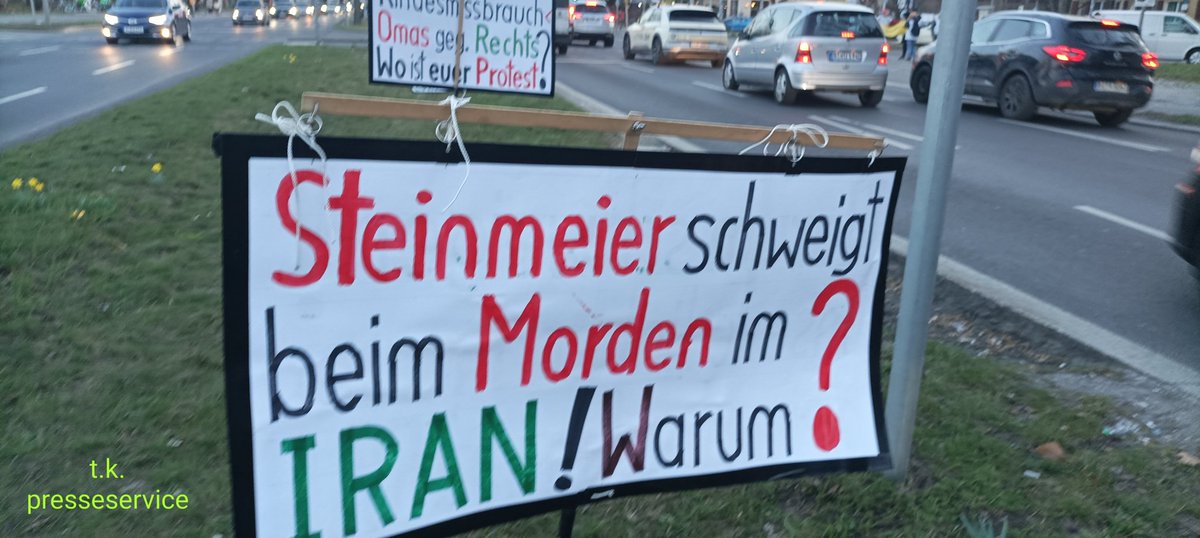 demokratischer Demo Beobachter links grün versifft tweet media