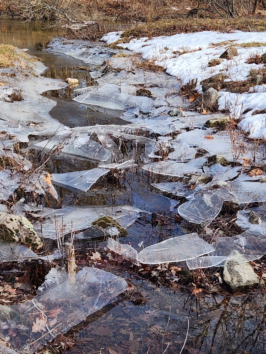 wld hare24 tweet media