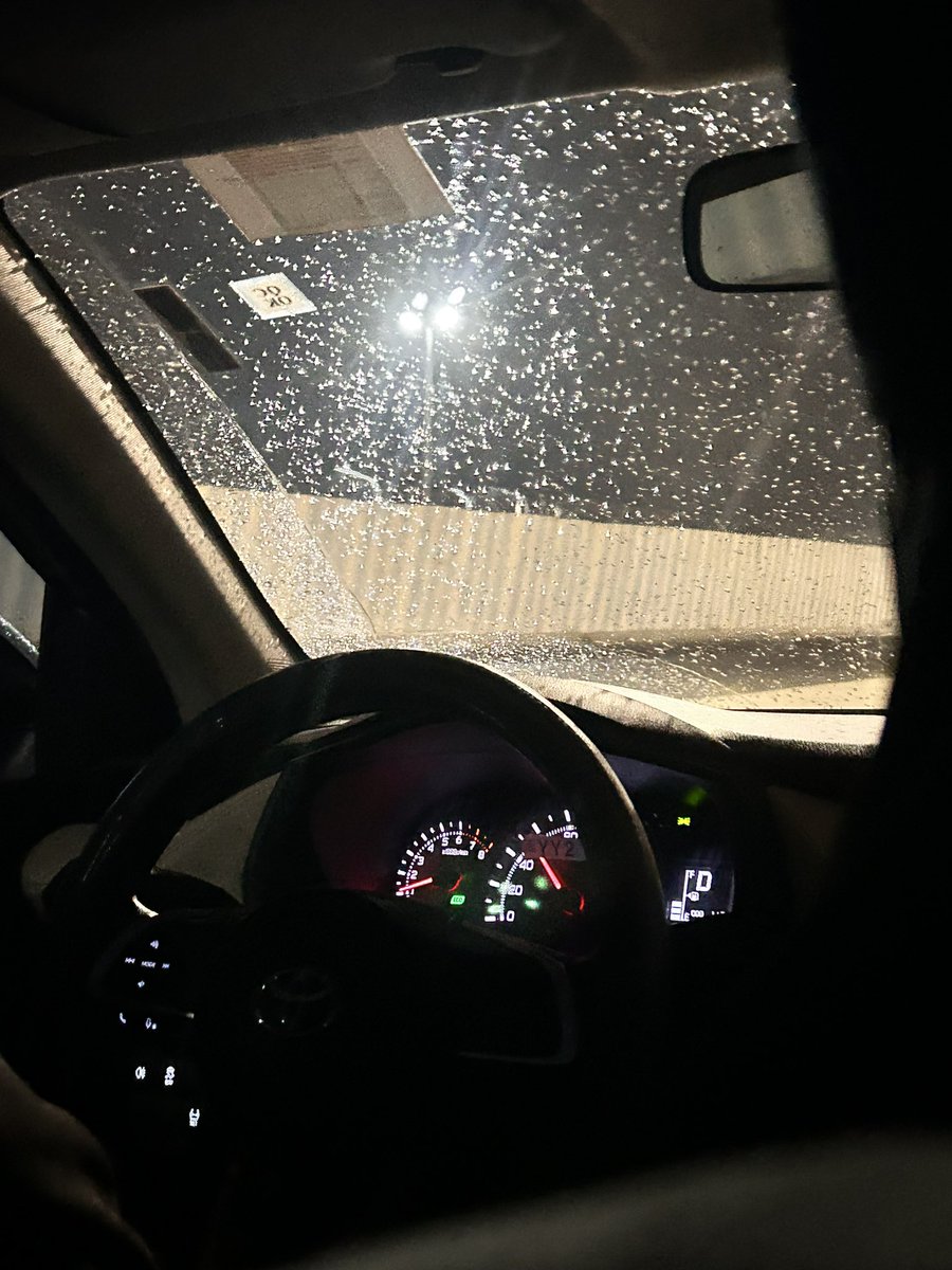 ‏Taef |طيف tweet media