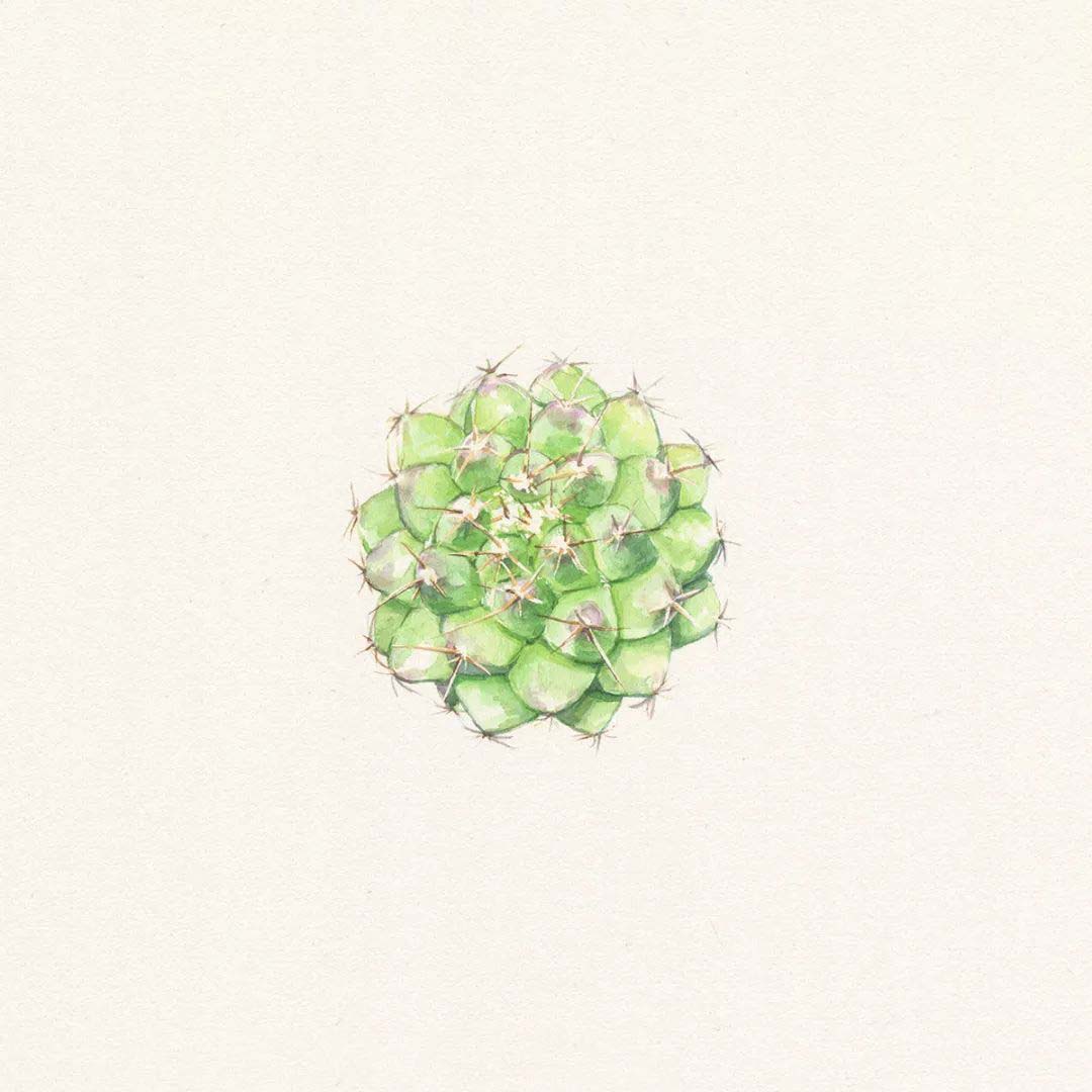 Iyinbor Godfrey tweet media