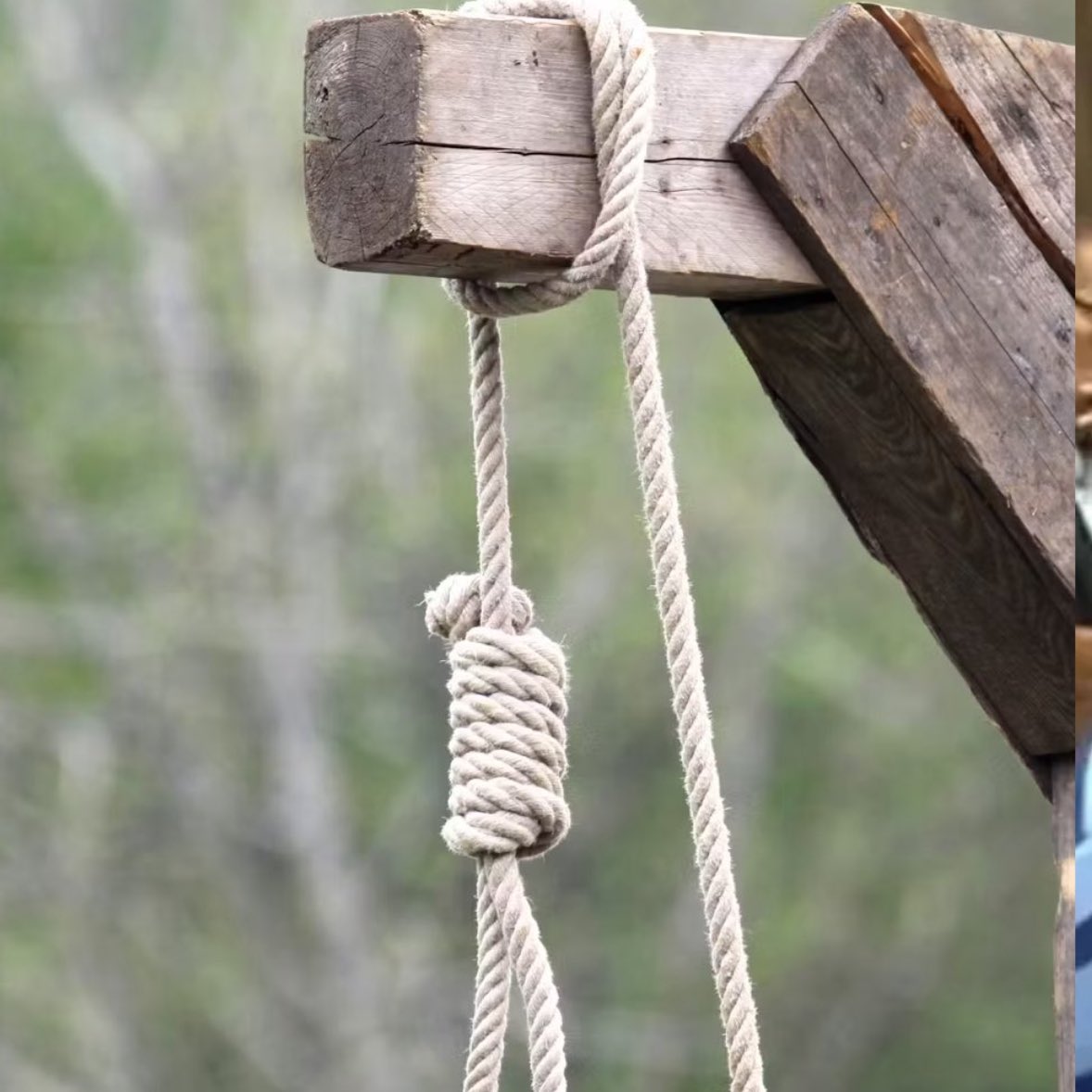 Gusholder Haber Bülteni tweet media