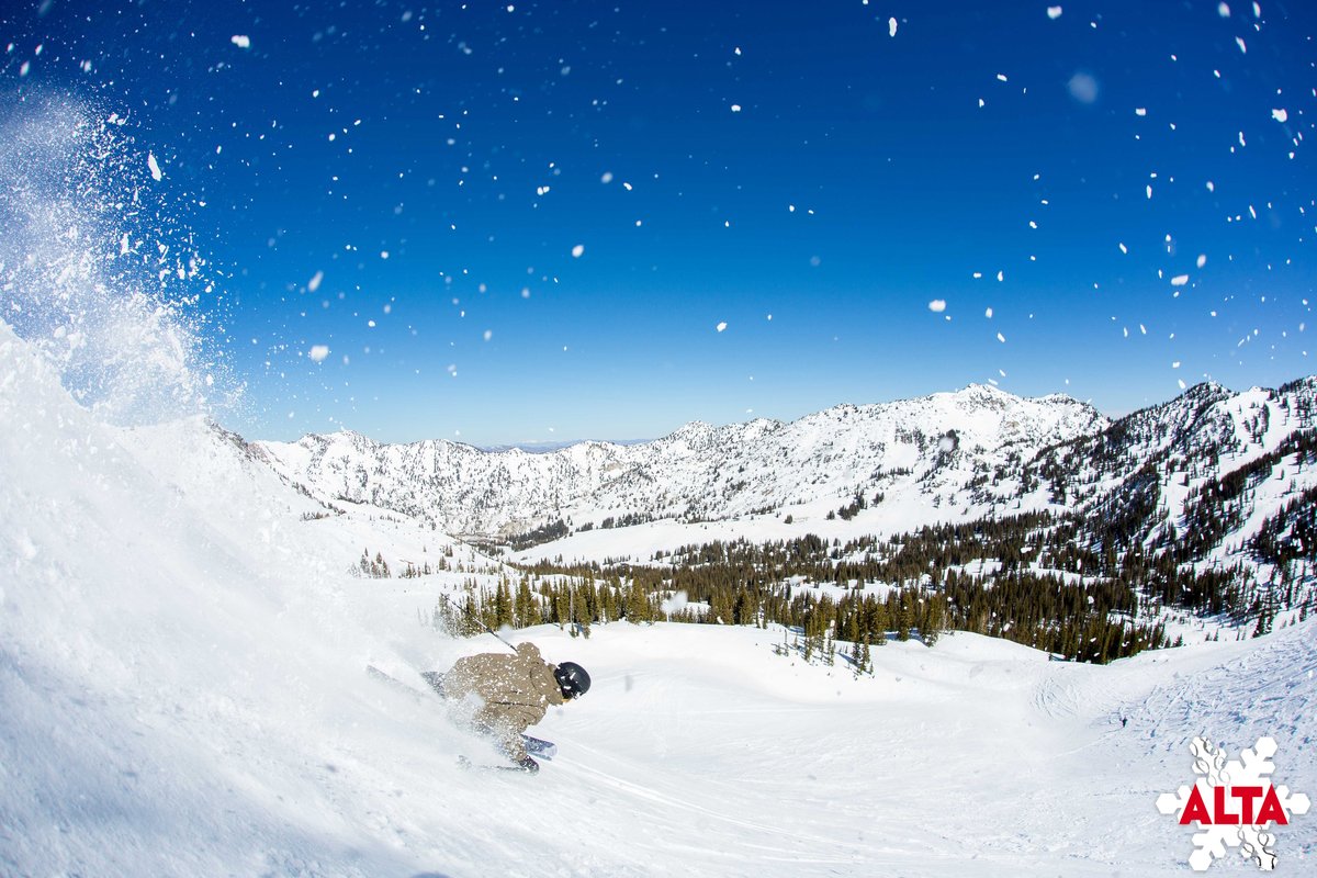 Alta Ski Area tweet media