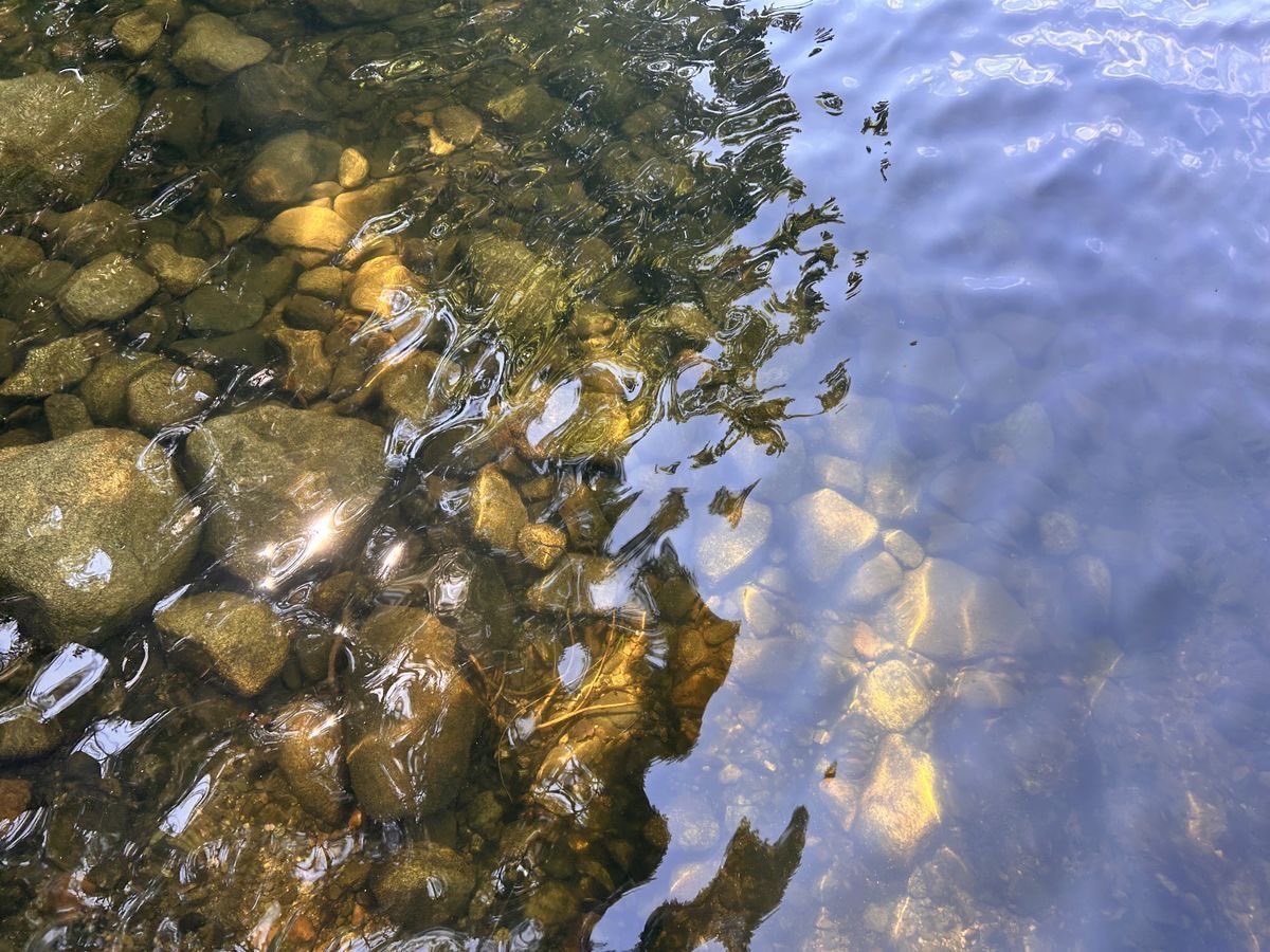 elio 🫐☀️ tweet media