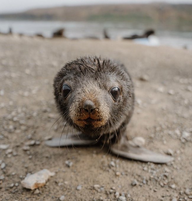 isabella🪼🎏 tweet media