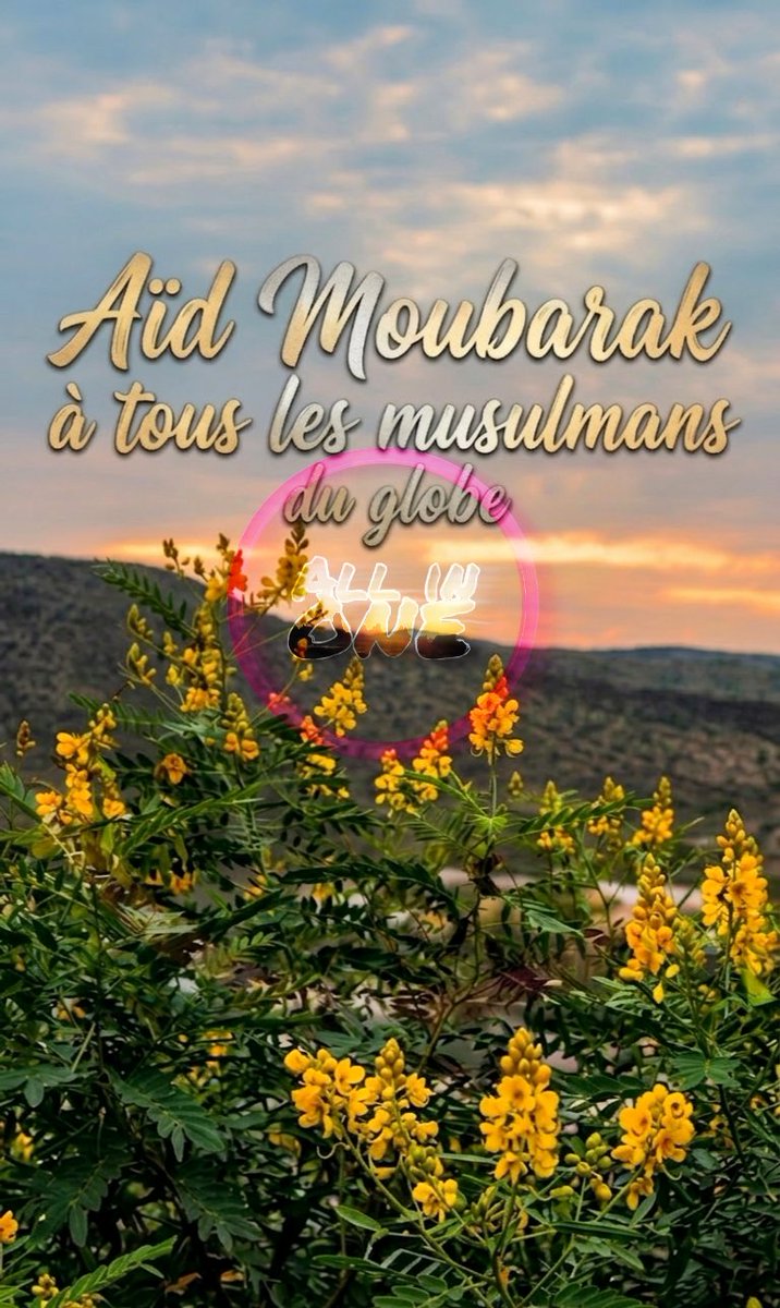 All__inone's tweet photo. L'ensemble de l'équipe All in One tient à adresser ses vœux les plus sincères à ses abonnés ainsi qu'à la communauté musulmane du monde entier.

Puisse Allah accepter le jeûne, les prières et les bonnes actions de chacun durant ce mois béni. 🤲🏽

#EidMubarak  #AllInOne #VœuxDeFête https://t.co/oPoKFuXaX7