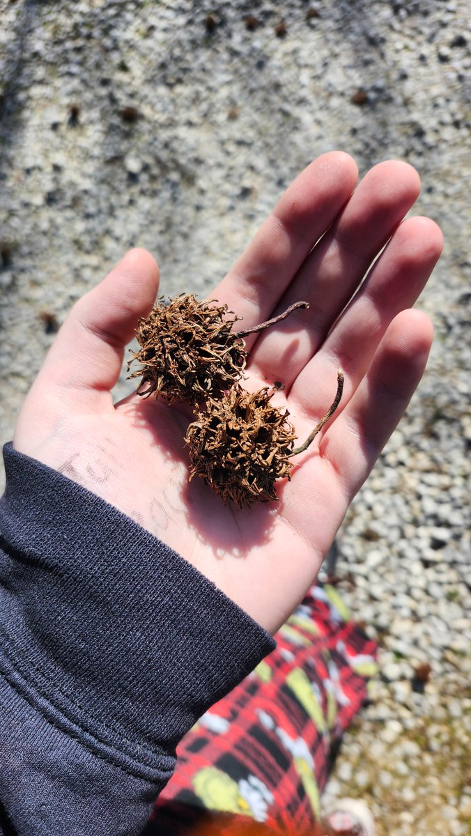 𝒫𝒶𝓉𝓇𝒾𝒸𝓀‧₊ ♪˚⊹ tweet media