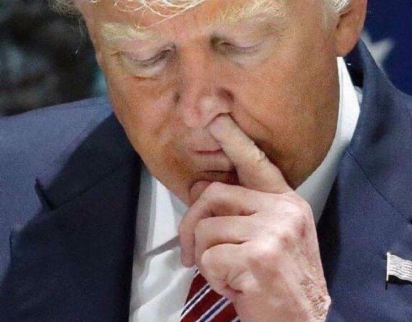 No Major Dude tweet media