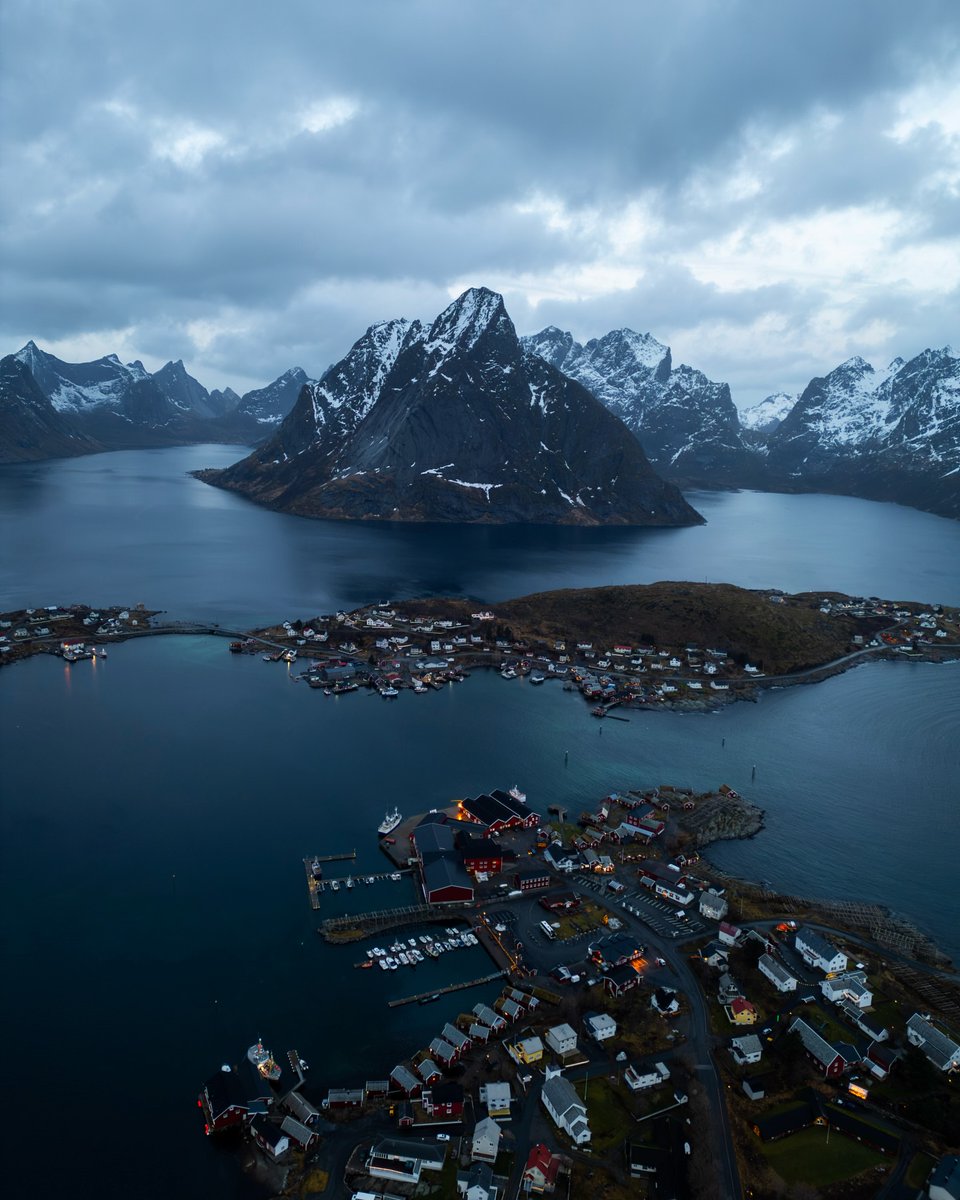 The World tweet media