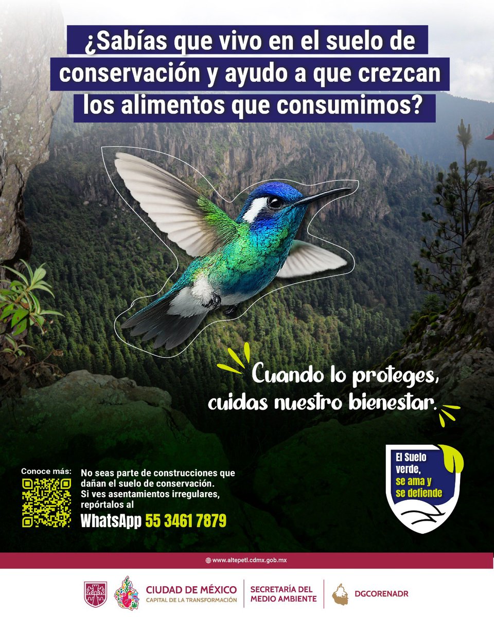 Corenadr tweet media