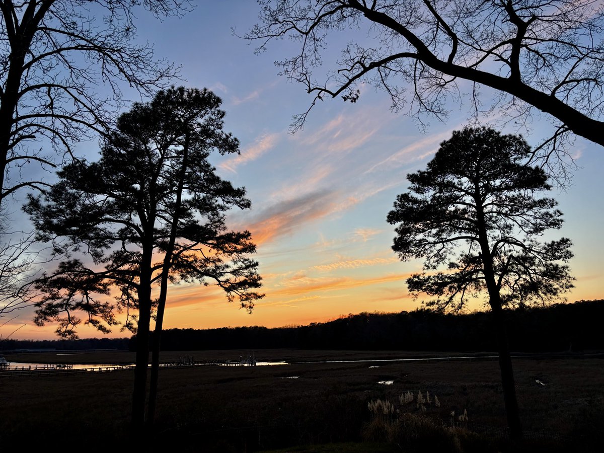 ftedd 2.0 tweet media