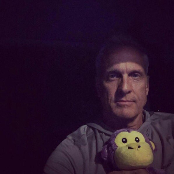 kafei rs6 tweet media