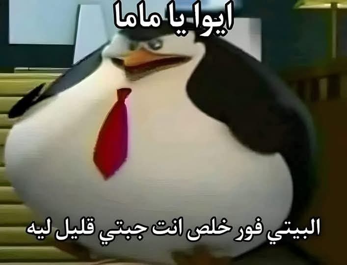 بتر الخواطر tweet media