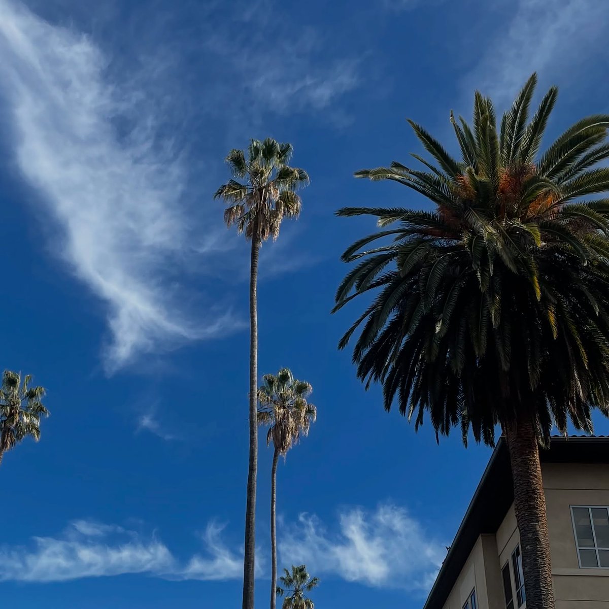 Leavey School of Business tweet media