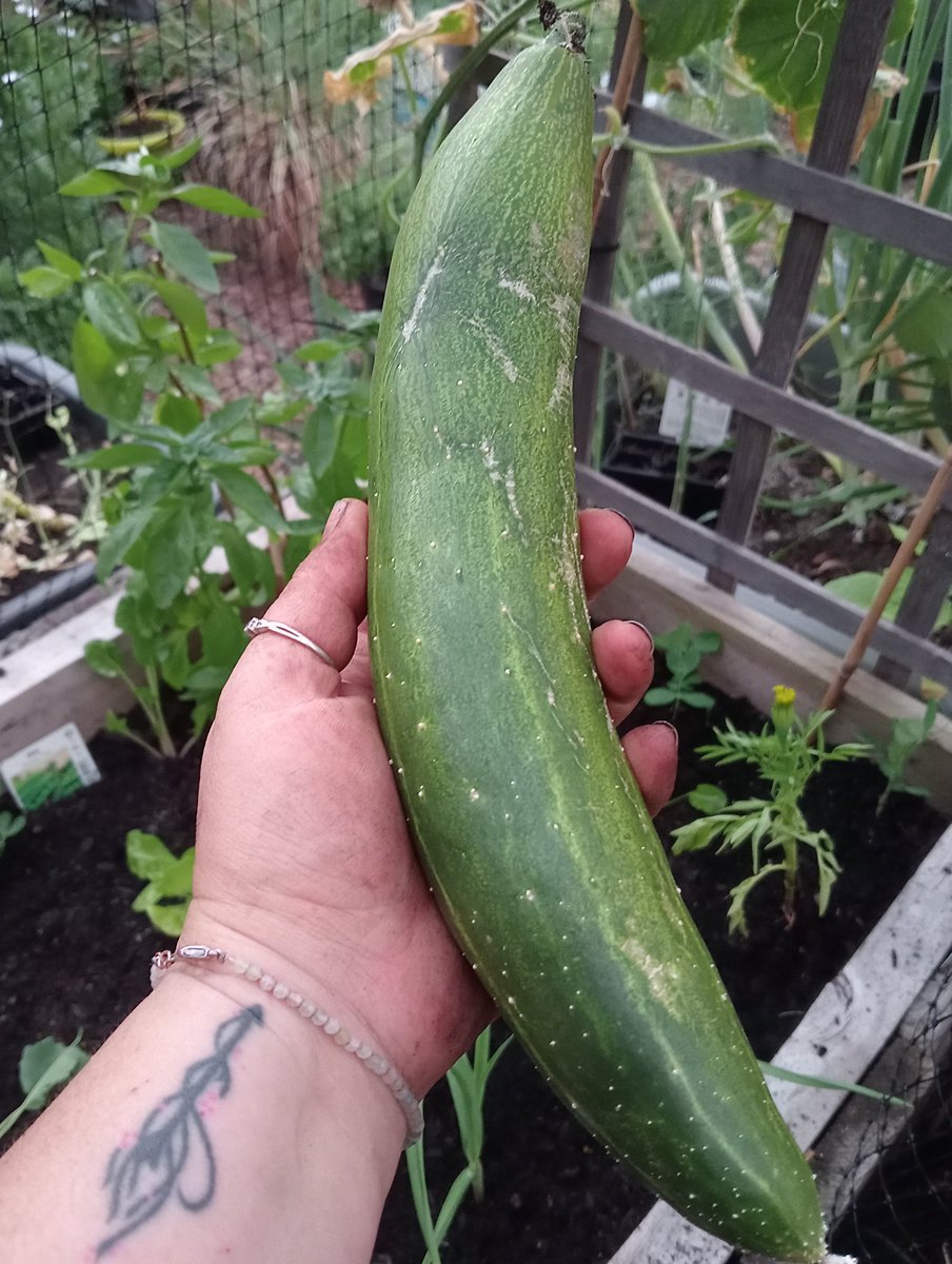 Seeds of hope 💖 tweet media