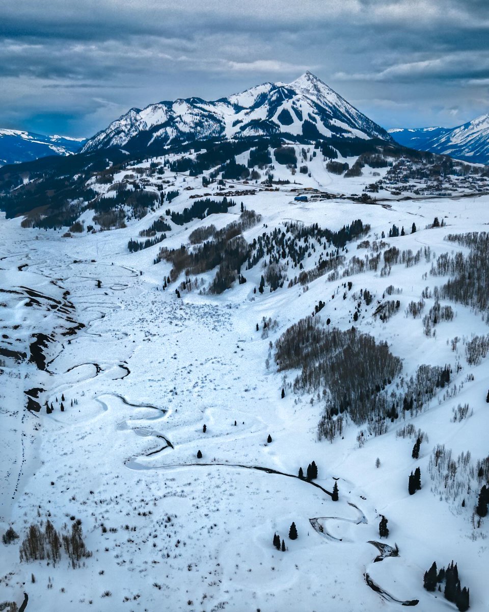 Purely Green tweet media