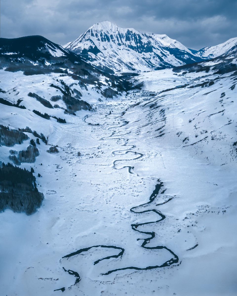 Purely Green tweet media