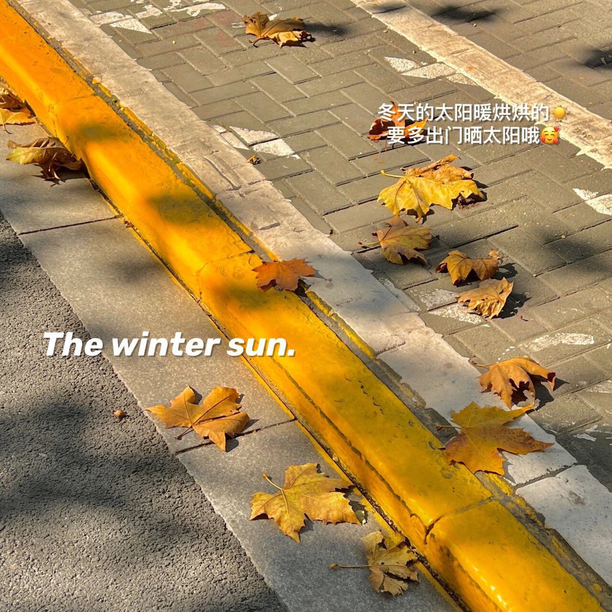 yasin maden tweet media