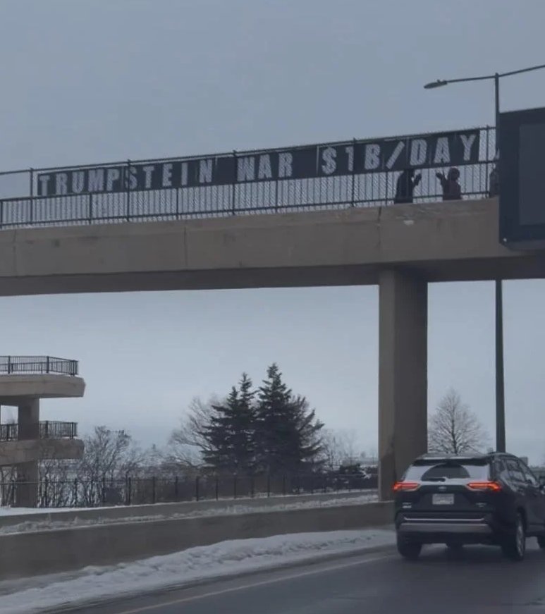 Molly Ploofkins tweet media