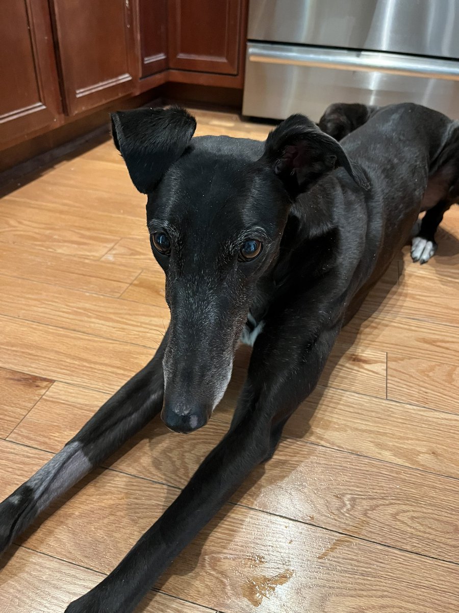 TwirlyTwyla 🌪 tweet media