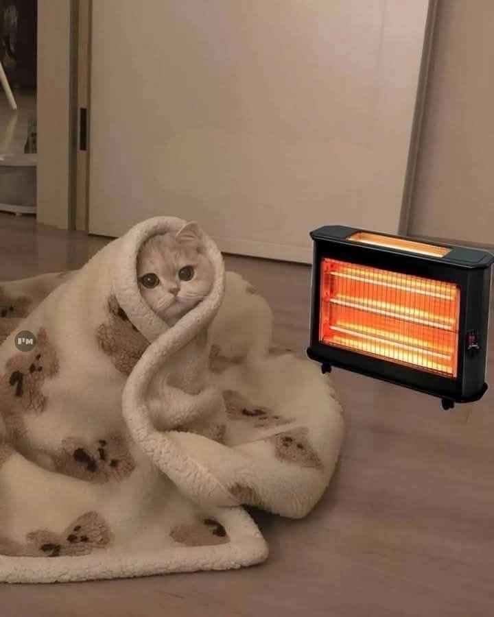 اَلِفْ tweet media