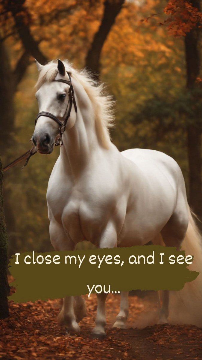 🌻Susana Aguiling🌻 tweet media