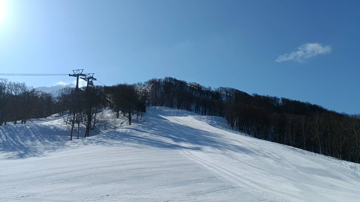 青森スプリング・スキーリゾート tweet media