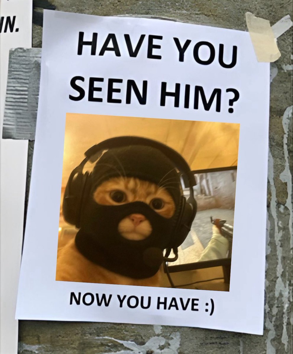 SolanaShinigami🥷🏽😹 🇲 🇦 🇸 🇰 tweet media