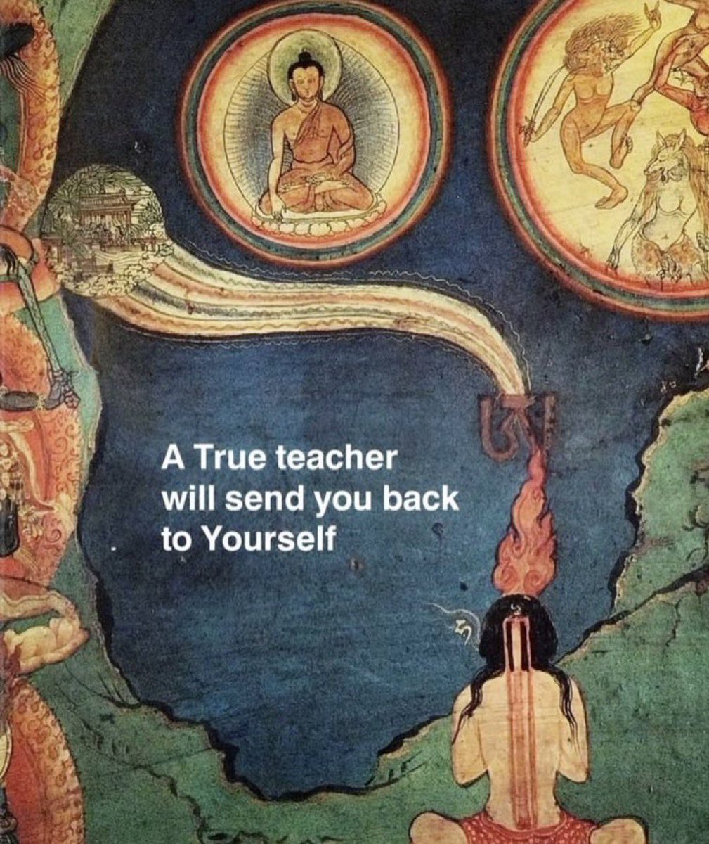 The Core tweet media