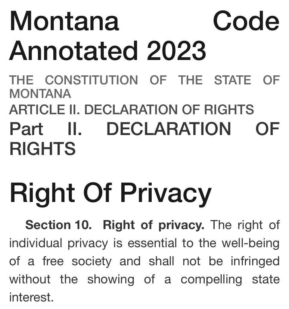 problembear tweet media