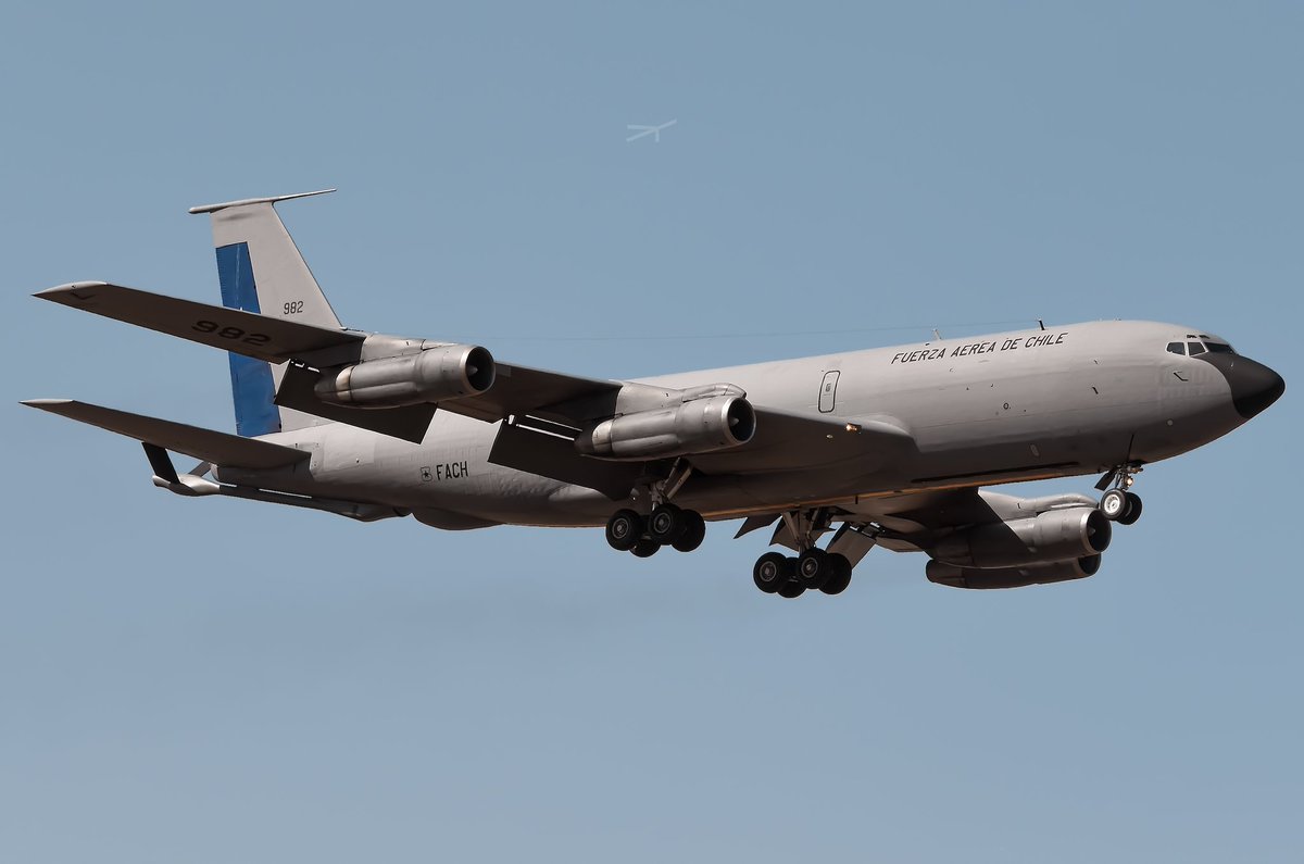 Maurice Becker tweet media