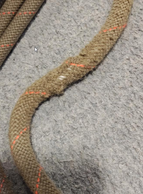 Bitcoin Tarzan tweet media