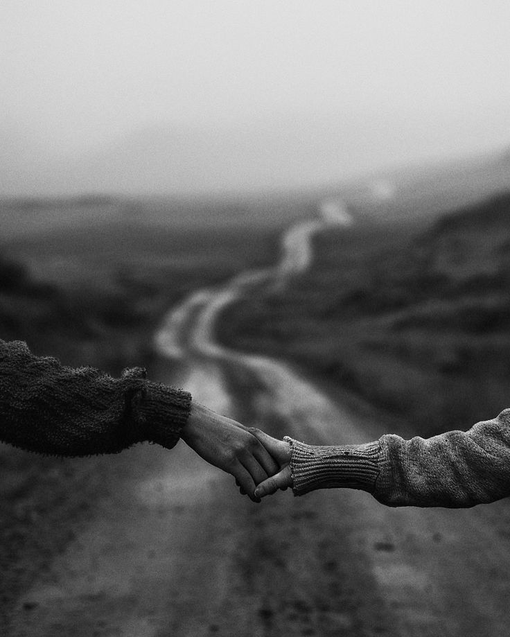 Metropolitan tweet media