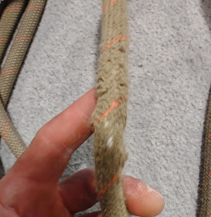 Bitcoin Tarzan tweet media