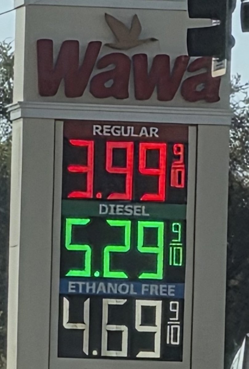 Alex Nitzberg tweet media