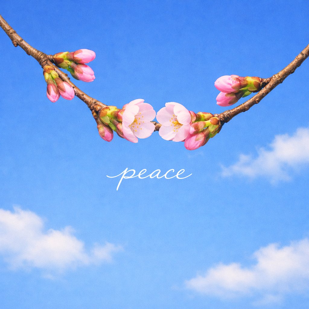 キンディ tweet media