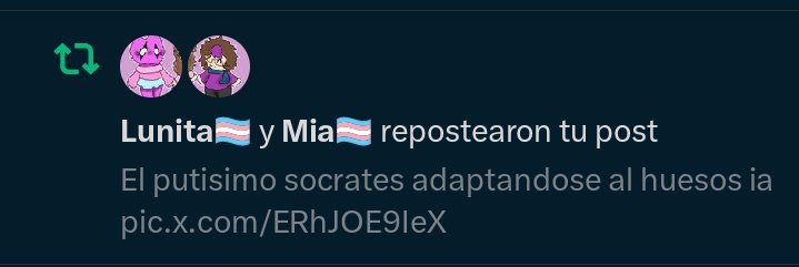 syntax6w6 tweet media