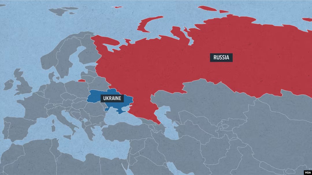 🇺🇦 🇵🇸 cabbage appreciation club tweet media