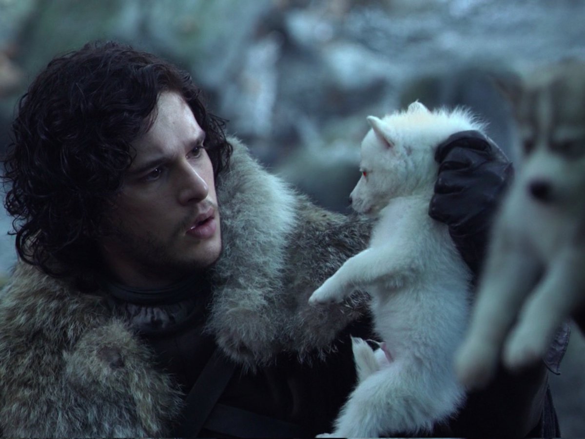 Dragonstone tweet media