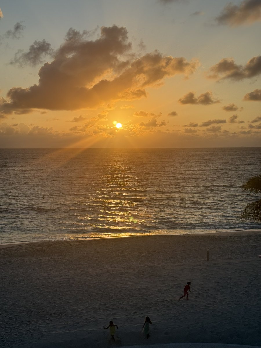 Toula 🇨🇦 tweet media