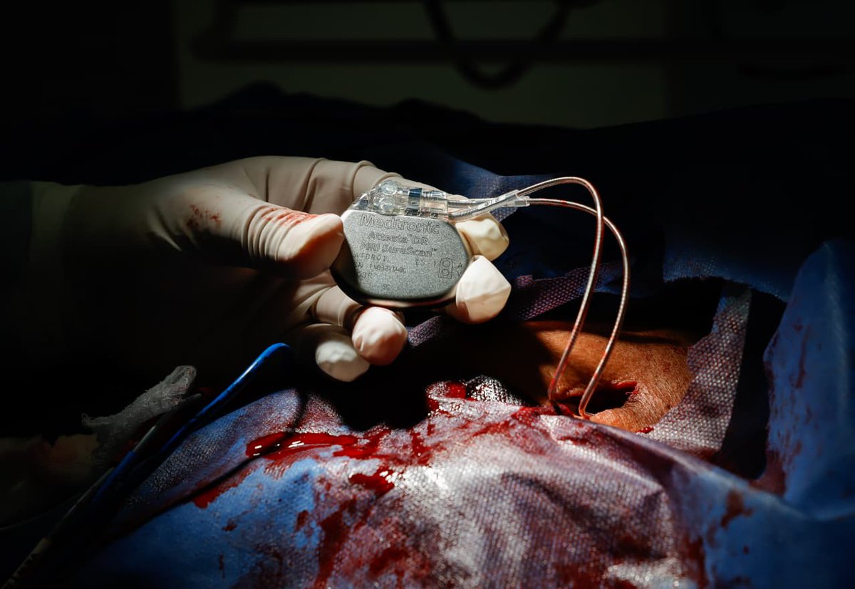 Martí Batres tweet media