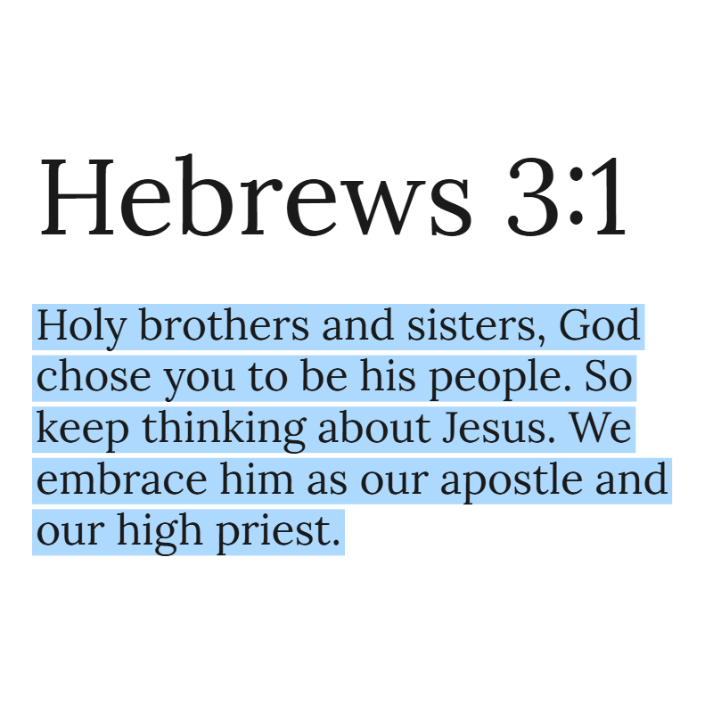 Holy Bible tweet media