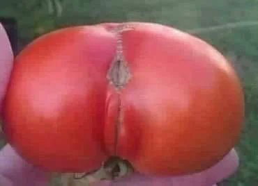 Open Horizon tweet media