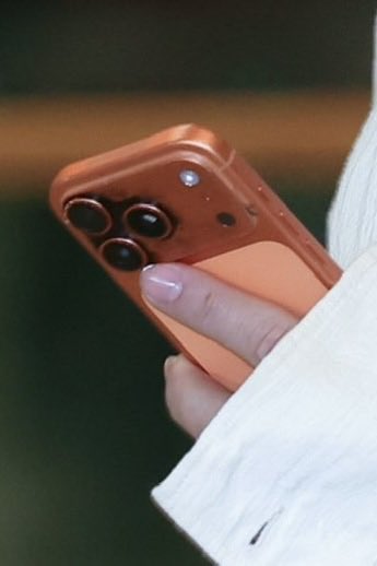 ✨🍒🐶🌹 tweet media