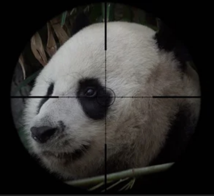 Senator John Connor tweet media